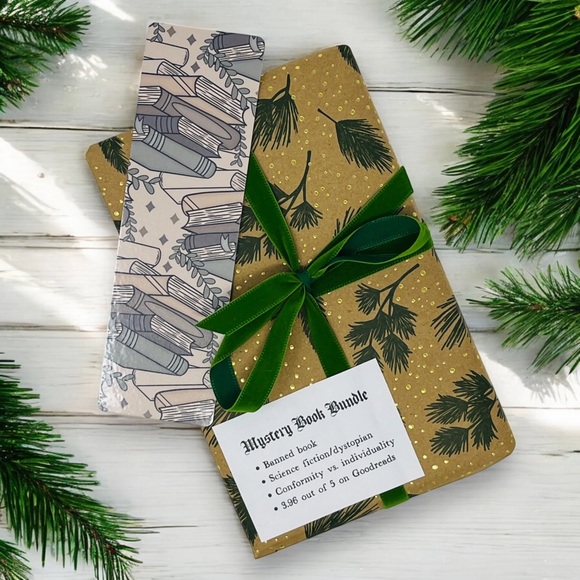 š Mystery Book Bundle + Bookmark | Surprise Read | $10 - Picture 1 of 4